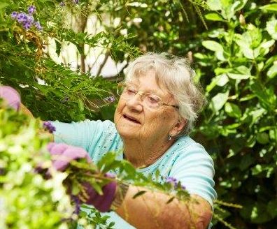 Spring gardening