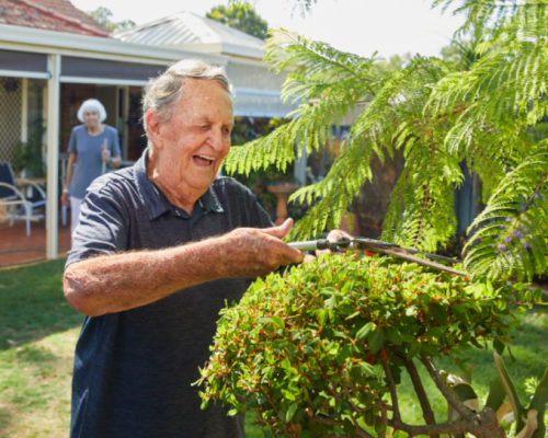 Maintenance Man tending to an Aged Care Home garden